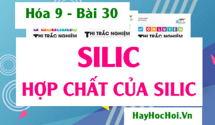 Tính chất hóa học của Silic (Si), Silic dioxit (SiO2) và công nghiệp Silicat - Hóa 9 bài 30